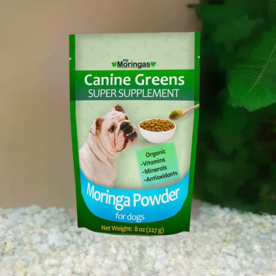 Canine Greens Polvo puro de moringa cruda de 8 oz. Suplemento superalimentario para tu perro mascota.