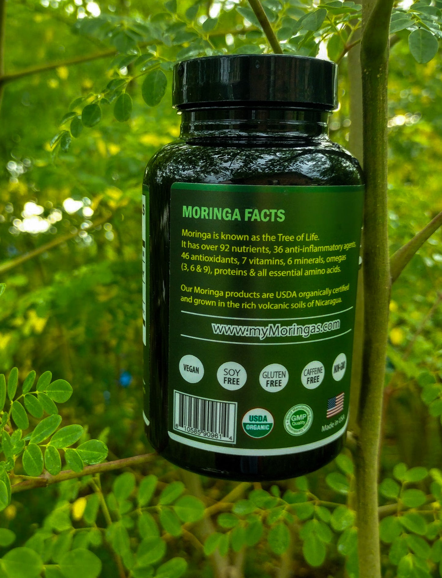 moringa 120 capsules organic